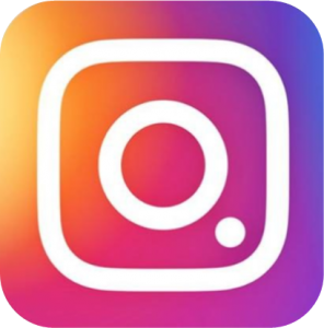 LogoInstagram-296x300-1.png