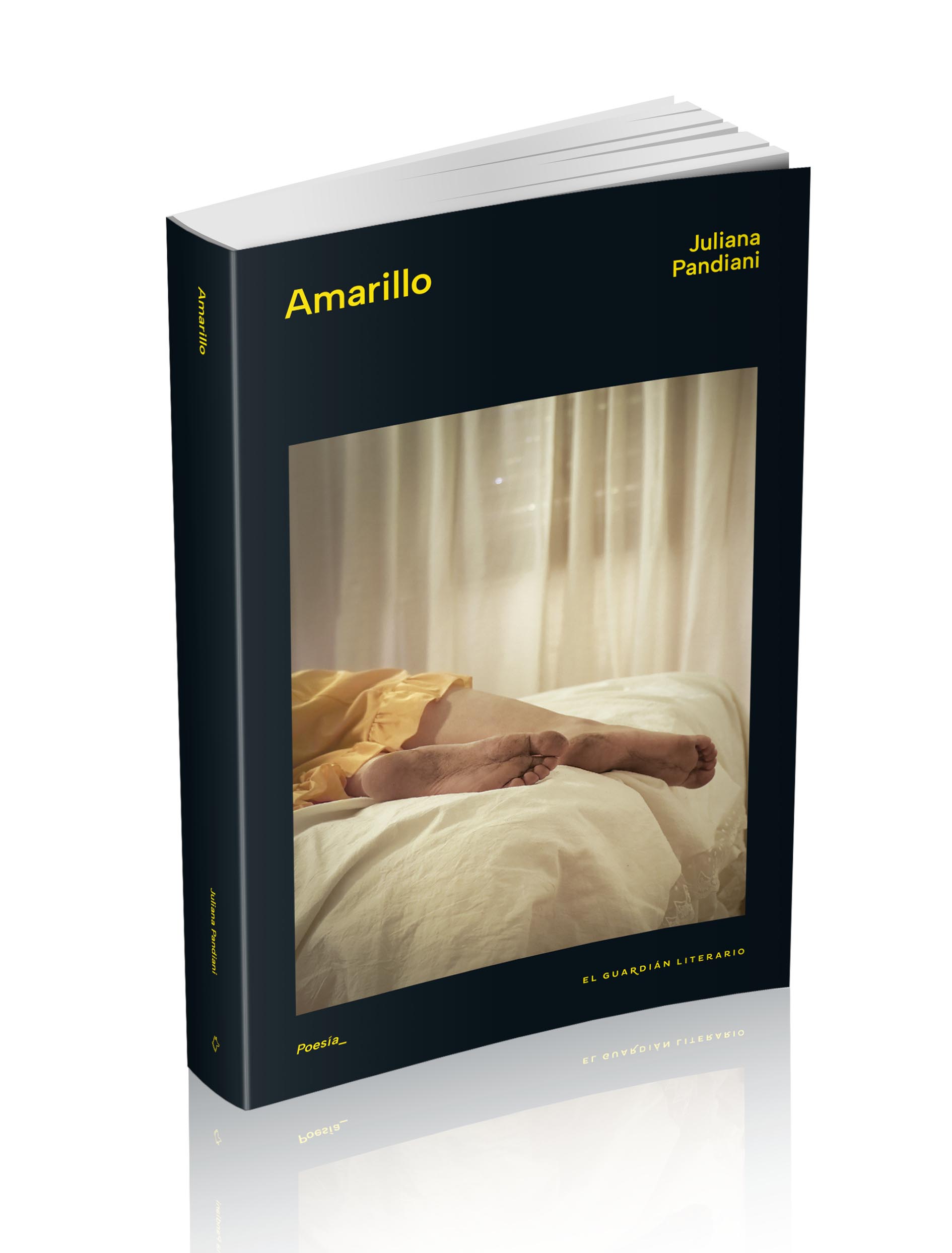 Amarillo CON LOMO